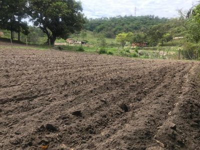 Loteamento e Condomínio, 25 hectares - Foto 4