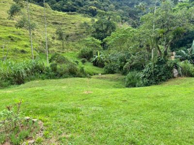 Terreno, 2 hectares - Foto 3