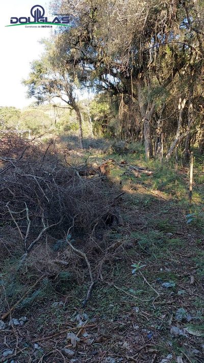 Terreno, 750 m² - Foto 2