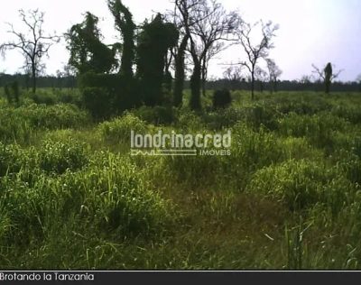 Fazenda, 10 m² - Foto 4