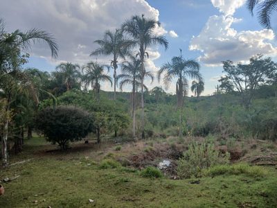 Chácara, 3 quartos, 9000 m² - Foto 1