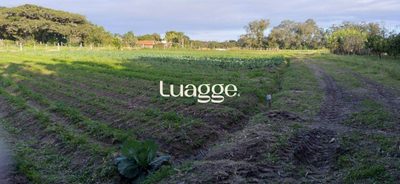 Fazenda - Foto 2