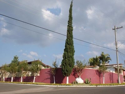 Chácara, 4 quartos, 1029 m² - Foto 3