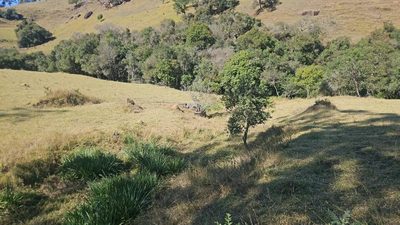 Fazenda, 1 quarto - Foto 4