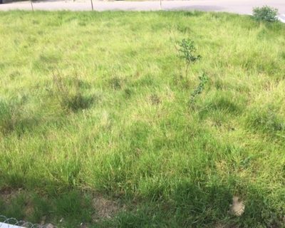 Terreno - Foto 1