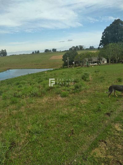 Chácara, 16 hectares - Foto 4