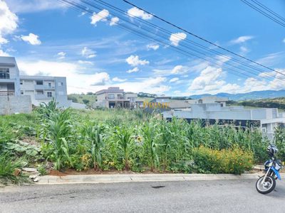 Terreno, 250 m² - Foto 4