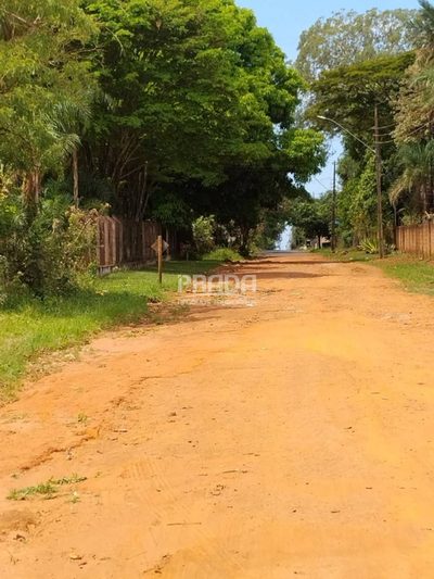 Loteamento e Condomínio, 5000 m² - Foto 2