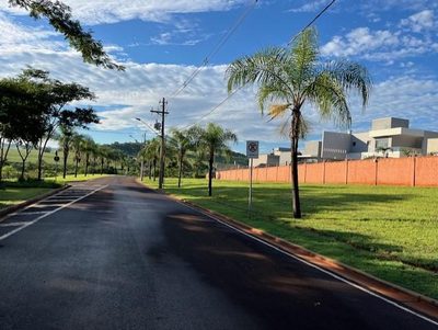 Terreno, 250 m² - Foto 4