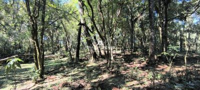 Fazenda, 5 hectares - Foto 3