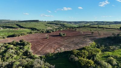 Fazenda, 40 m² - Foto 1