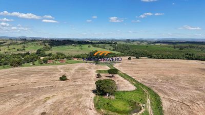 Fazenda, 653 hectares - Foto 5