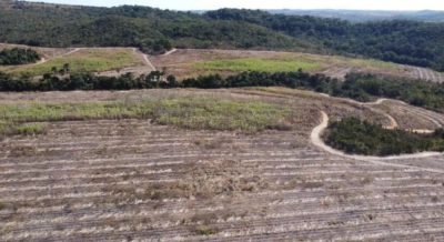 Fazenda - Foto 3
