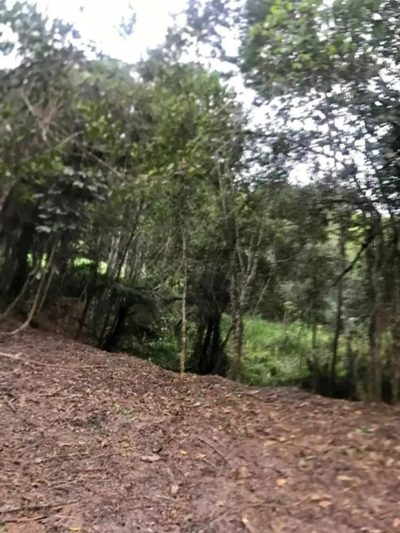Casa, 4000 m² - Foto 4