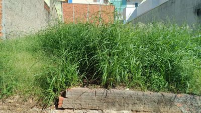 Terreno, 207 m² - Foto 5