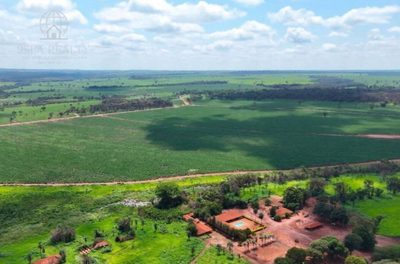 Fazenda, 1157 hectares - Foto 5