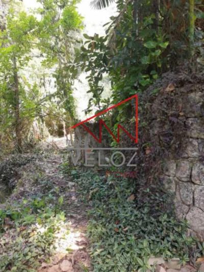 Terreno - Foto 2