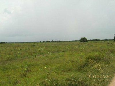 Fazenda, 879450785 hectares - Foto 2