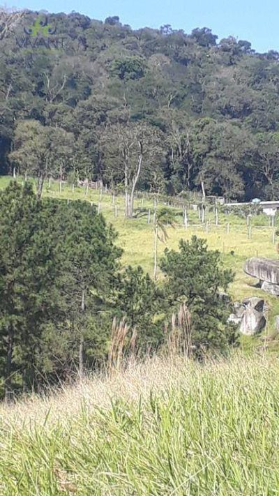 Terreno, 715 m² - Foto 5
