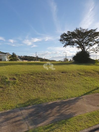 Terreno, 589 m² - Foto 4