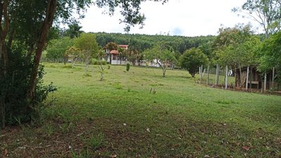 Sítio, 5 quartos, 600 m² - Foto 1