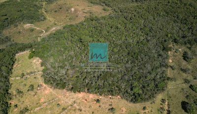 Terreno, 96 hectares - Foto 5