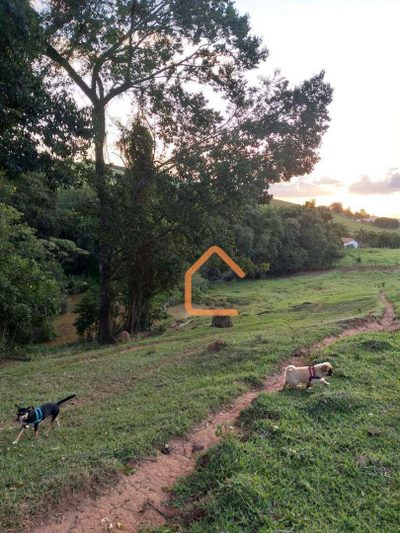 Sítio, 17 hectares - Foto 4