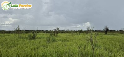 Terreno, 3500 m² - Foto 4