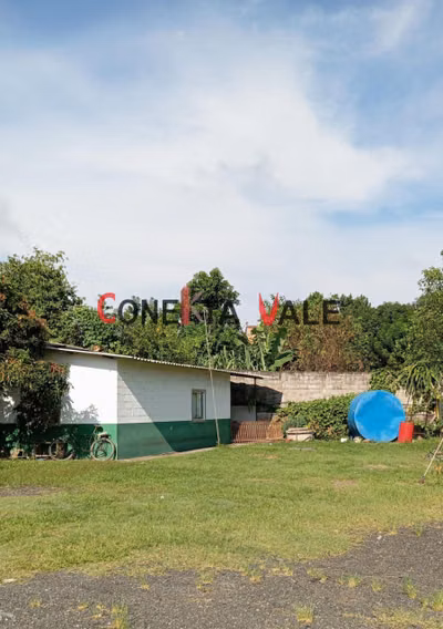 Depósito-Galpão, 2500 m² - Foto 4
