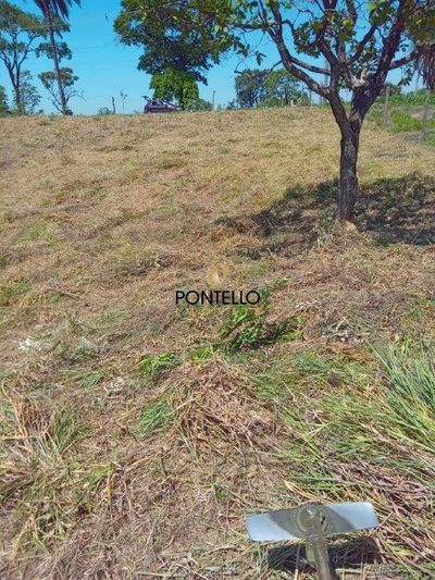 Terreno, 2011 m² - Foto 5