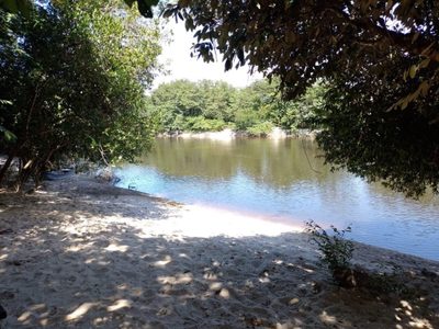 Fazenda, 1118 hectares - Foto 1