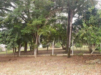 Sítio, 2 quartos, 4538 m² - Foto 4