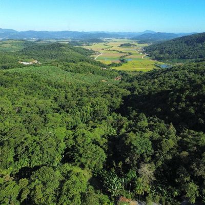 Chácara, 2 hectares - Foto 1