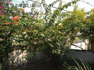 Casa, 5 quartos, 350 m² - Foto 5
