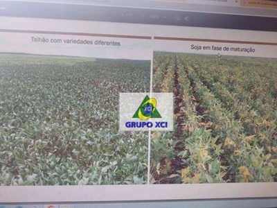 Fazenda, 938 hectares - Foto 5