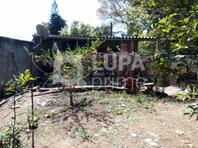 Casa, 4 quartos, 249 m² - Foto 4