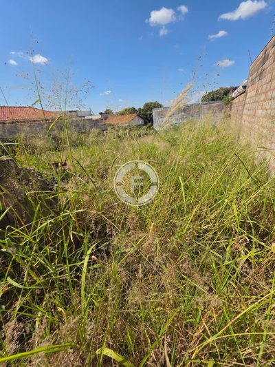 Terreno, 250 m² - Foto 2