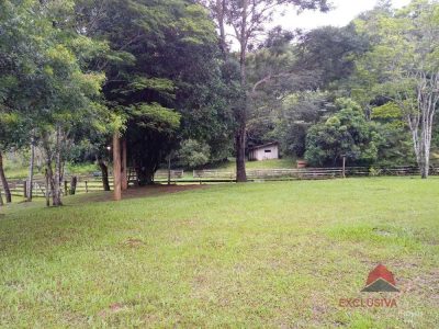 Sítio, 3 quartos, 4 hectares - Foto 2