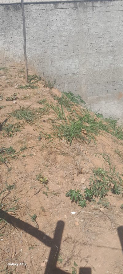 Terreno, 360 m² - Foto 3