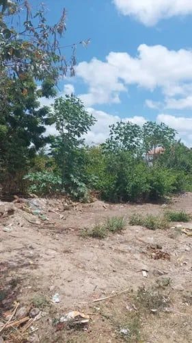 Terreno, 576 m² - Foto 2