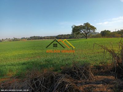 Chácara, 97 hectares - Foto 2