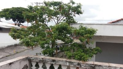 Casa, 2 quartos, 270 m² - Foto 4