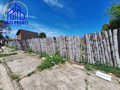 Terreno, 250 hectares - Foto 3