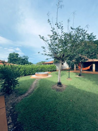 Chácara, 4 quartos, 4000 m² - Foto 5