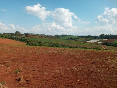 Terreno, 40 hectares - Foto 4