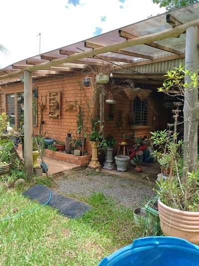 Sítio, 3 quartos, 2 hectares - Foto 3