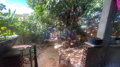 Casa, 3 quartos, 330 m² - Foto 2