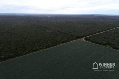 Fazenda, 563 hectares - Foto 3