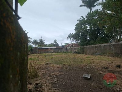 Terreno, 900 m² - Foto 5