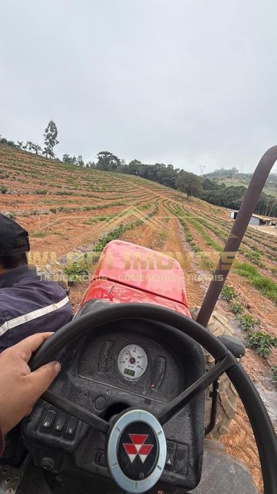 Fazenda, 8 hectares - Foto 4